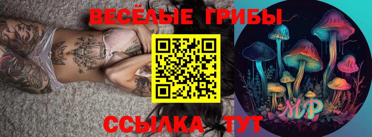 Гурьевск  Псилоцибиновые грибы MAGIC MUSHROOMS  Вход с VPN 