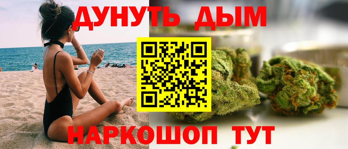 Конопля планчик Гурьевск